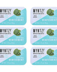 Myntz Blast Breathmints Sugar Free 175Ounce Containers Wintermynt 12 Pack