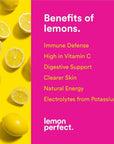 Lemon Perfect - Organic Cold-Pressed Lemon Water - (12oz Bottles) 12pk