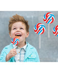 Fruidles Round Patriotic Lollipop USA Red Blue  White Mixed Fruit Flavor Individually Wrapped 15 Inch 15 gram Sucker 12Pack