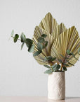 Dried Palm LeavesPalm LeavesPalm Leaves Decor  Palm Leaves Party Decorations 4 Pack