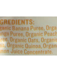 Pumpkin Tree Peter Rabbit Organics Super Oats & Seeds, Puree Squeeze Pouch, Banana & Mango, 4 Ounce (Pack of 10)