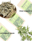 FLOAPE Mugwort Leaves Mugwort Tea 30 Bag Mugwort Herbal Tea Caffeine Free