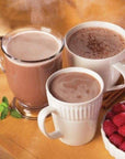 BariatricPal Hot Chocolate Protein Drink  Variety Pack