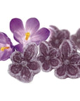 Andy Anand 50PC Sugar Free Violets A Typical Old Candy Dragée Shaped Like A Flower Of Five Petals Made With The Essence Of Violet And Sweetened With Stevia