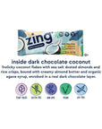 Zing Dark Chocolate Coconut Vegan Protein Bars, Gluten Free with High Protein, High Fiber, Dairy Free Nutrition Bars, Plant Based Protein, Kosher, Low Sugar, No Sugar Alcohols - 12 count