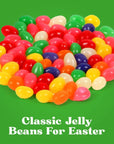 Jelly Beans 1 Pack 9oz Bag of BrachsJelly Beans Candy Deliciously Vibrant Flavors Individually Wrapped Perfect Assorted Candy jelly beans