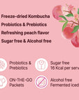 Everyday Kombucha Tea Powder 5g x 30 Sachets 150g519oz Probiotics Prebiotics Sugar Free Balck Tea Healthy Drink Peach Flavor Sparkling Refresh