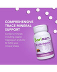 BariMelts Bariatric Multivitamin - 1 Month Supply (60 Fast-Dissolving Tablets) - Post-Op Bariatric Vitamins