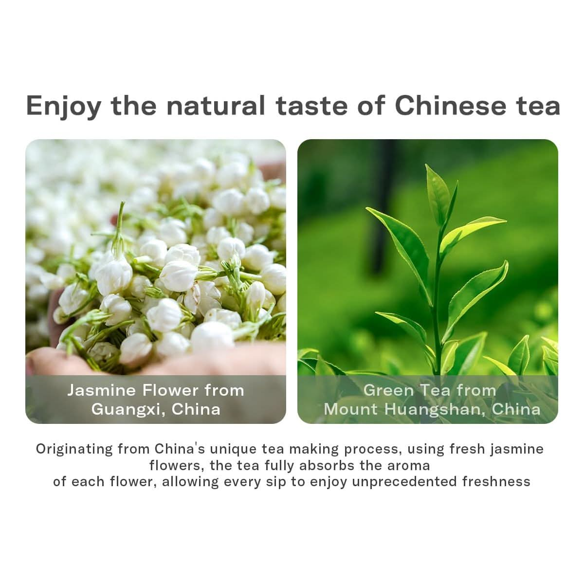 QIRIYUANYE Cold Brew Tea Instant Tea Powder Jasmine Green Tea Chinese Tea 100 Tea Leaves No Sugar Added 12cups