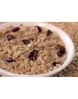 Anthem Peach  Cranberry Instant Oatmeal Packets