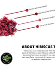 Hibiscus Mint Herbal Tea Blend  30 Tea Bags Super Antioxidant Caffeine Free