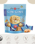 Gin Gins Ginger Candy Variety Pack of 2 Bundle  1 of each flavor Gin Gins Super Strength Ginger Candy Gin Gins Double Strength Hard Ginger Candy Organic Vegan Gluten Free Ginger Chews Candy