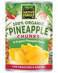 Native Forest Organic Pineapple Chunks 14 Ounce Cans Pack of 6