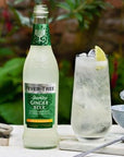 Fever Tree Premium Ginger Ale  Premium Quality Mixer and Soda  Refreshing Beverage for Cocktails  Mocktails 150ml Bottle  Pack of 30