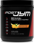 Post JYM Active Matrix - 1.3 Pound (Pack of 1)