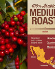 Mayorga Medium Roast Whole Bean Coffee 5 lb bag  Mayan Blend Coffee Roast  Smooth  Flavorful Organic Coffee  Specialty Grade 100 Arabica Coffee Beans  NonGMO Direct Trade