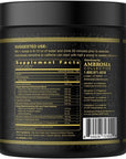 Ambrosia Kinetic Organic Preworkout, Mushroom Enhanced Natural Pre Workout Supplement