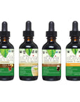 CRAVESTEVIA Organic Stevia Liquid Drops Soda Pop 4 Pack Variety Bundle  Cola Ginger Ale Root Beer Cream Soda  Zero Calorie NonGMO Flavored Stevia Sugar Substitute for Sugar Free Soda Pop