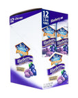 Blue Diamond Almonds Blueberry 15oz 12 count