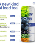 Happy Being NutrientRich Organic Blueberry White Tea  Infused with Turmeric Elderberry Vitamin D3 Caffeine Free PlantBased Low Calorie  Low Sugar Drinks 12oz 4 Pack