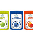 Nattierra Nature's Organic Freeze Fruit Snack - Gluten Free & Vegan (Pack of 3)