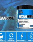 Evlution EVL BCAAs Amino Acids Powder - BCAA Powder Post Workout Recovery Drink and Stim Free Pre Workout Energy Drink Powder - 5g Branched Chain Amino Acids Supplement for Men - Cherry Limeade