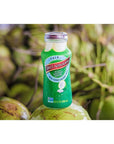 Taste Nirvana Real Coconut Water Coco Pulp with Tender Coconut Bits 95 Oz Pack of 12