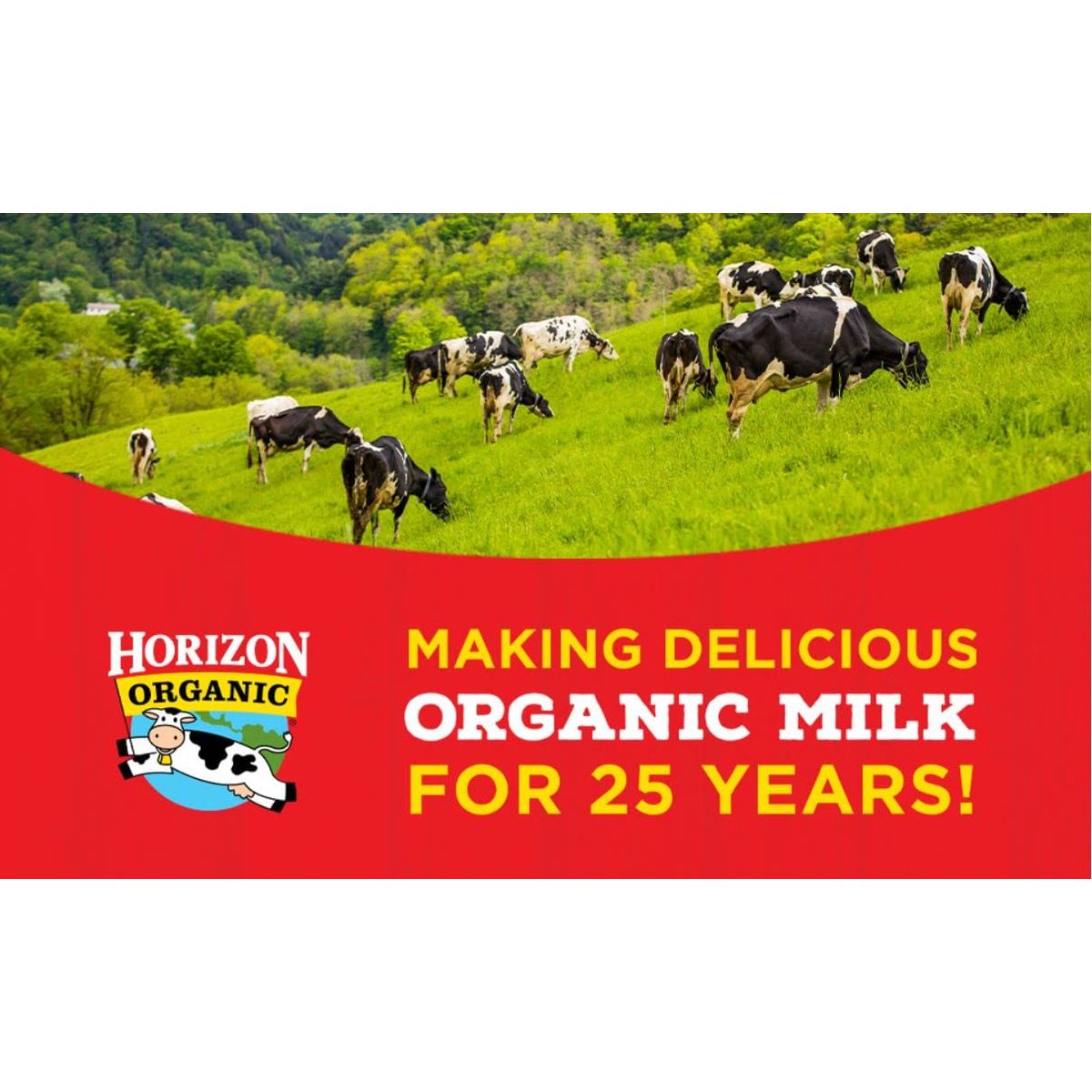 Organic Shelf Stable Whole Milk Boxes Horizon Whole Milk Single Serve 80 Fl oz Pack of 6 Every Order is Elegantly Packaged in a Signature BETRULIGHT Branded Box