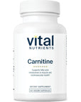 Vital Nutrients - Carnitine - Cardiovascular and Fat Metabolism Support - L-Carnitine Supplement - Heart Health Support - Supports Fatty Acid Transport - 60 Vegetarian Capsules per Bottle - 500 mg