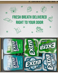 EXTRA Spearmint  Polar Ice Sugar Free Chewing Gum Bulk Assortment 15 Sticks  40 Pieces 2 Bottle Packs  12 Single Packs