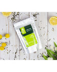 ELEVATE TEA Lemon Loose Leaf Hot  Iced Green Tea Medium Caffeine No Artificials 30 Cups 3 Oz