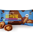 Sweet Nothings Chocolate USDA Organic Nut Butter Bites Protein Bar Nut  Date Snack Filled with Peanut Butter 122 Bite Value Packs  No Added Sugar Plant Based Vegan Only 7 Ingredients