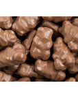 Koppers Milk Chocolate Covered Gummy Bears 1 LB