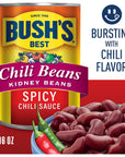 BUSHS BEST 16 oz Canned Spicy Dark Red Chili Beans Source of Plant Based Protein and Fiber Pack of 12