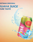 VINUT Guava Juice Drink Freshly Squeezed Guava Not from Concentrate 1110 Fl ozPack of 6 Free from Gluten NonGMO No artificial Preservatives Colors or Flavors Source of vitamin C and Antioxidant