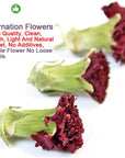 Plant Gift 100 Herbal Carnations Flowers TeaChinese Flower tea 100 natural carnation tea health 45g158oz