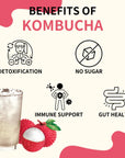 Garden Kombucha Tea Powder 5g x 20 Sachets 100g352oz Probiotics Prebiotics Sugar Free Black Tea Healthy Drink with Bottle FREE BOTTLE SHAKER Lychee