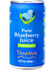 Tamaya Blueberry Juice  Pure Blueberries Fresh Pressed With No Sugar Added  Delicious Refreshing Juice  No Gluten Vegan Friendly  No Water Mix Not From Concentrate 675 Fl Oz Mini Cans Pack of 12 Chile