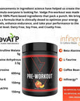 vedge Nutrition Peach Mango Pre-Workout | Vegan Pre-Workout | Dairy Free, Soy Free, Non-GMO | Long Lasting Energy, No Crash | Caffeine, Citrulline Malate, Nitric Oxide Booster | 40 Servings