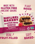 Nature’s Bakery Gluten Free Fig Bars, Raspberry, Real Fruit, Vegan, Non-GMO, Snack bar, 6 boxes with 6 twin packs (36 twin packs)