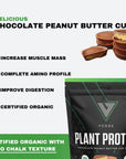 vedge Certified Organic Plant Protein Chocolate Peanut Butter Cup (20 Servings) - Plant-Based Vegan Protein Powder, USDA Organic, Gluten Free, Non Dairy Nutrition Plant Protein