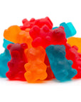 SugarFree Gummy Bears Fruit Flavored Pectin Soft Chewy Candy 1Pound Pack