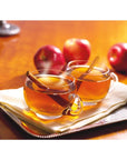 Alpine SugarFree Spiced Apple Cider Mix  Pack of 2