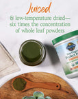 Garden of Life Raw Organic Perfect Food Energizer Juiced Green Superfood Powder - Yerba Mate Pomegranate, 30 Servings, Green Superfood Powder & Probiotics, Gluten Free Whole Food Greens Supplements