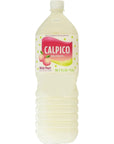 Calpico Soft Drink White Peach - 50.7 fz