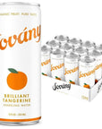 Sovány Flavored Sparkling Water, Brilliant Tangerine - 12 fl oz - 12 Pack