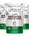 Lark Ellen Farm Sprouted Organic Pumpkin Seeds Unsalted Raw Pumpkin Seeds Organic Pepitas Vegan Non GMO Gluten Free Paleo and Keto Friendly 14 oz 3 Pack