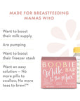 Boobie Bar Superfood for Lactation and Breastfeeding 17 Ounce Bars Oatmeal Chocolate Chip 6 Count Pack of 2