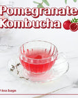 Dahada Pomegranate Kombucha Refreshing Tea 20 Tea Bags Fruit Tea CaffeineFree Herbal Tea