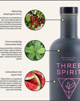 Three Spirit NonAlcoholic Alternative Spirits  Starter Gift Set  Choose Your Mood For Every Occasion  With Adaptogens  Nootropics  Livener Elixir  Nightcap  Award Winning Gluten Free  Vegan